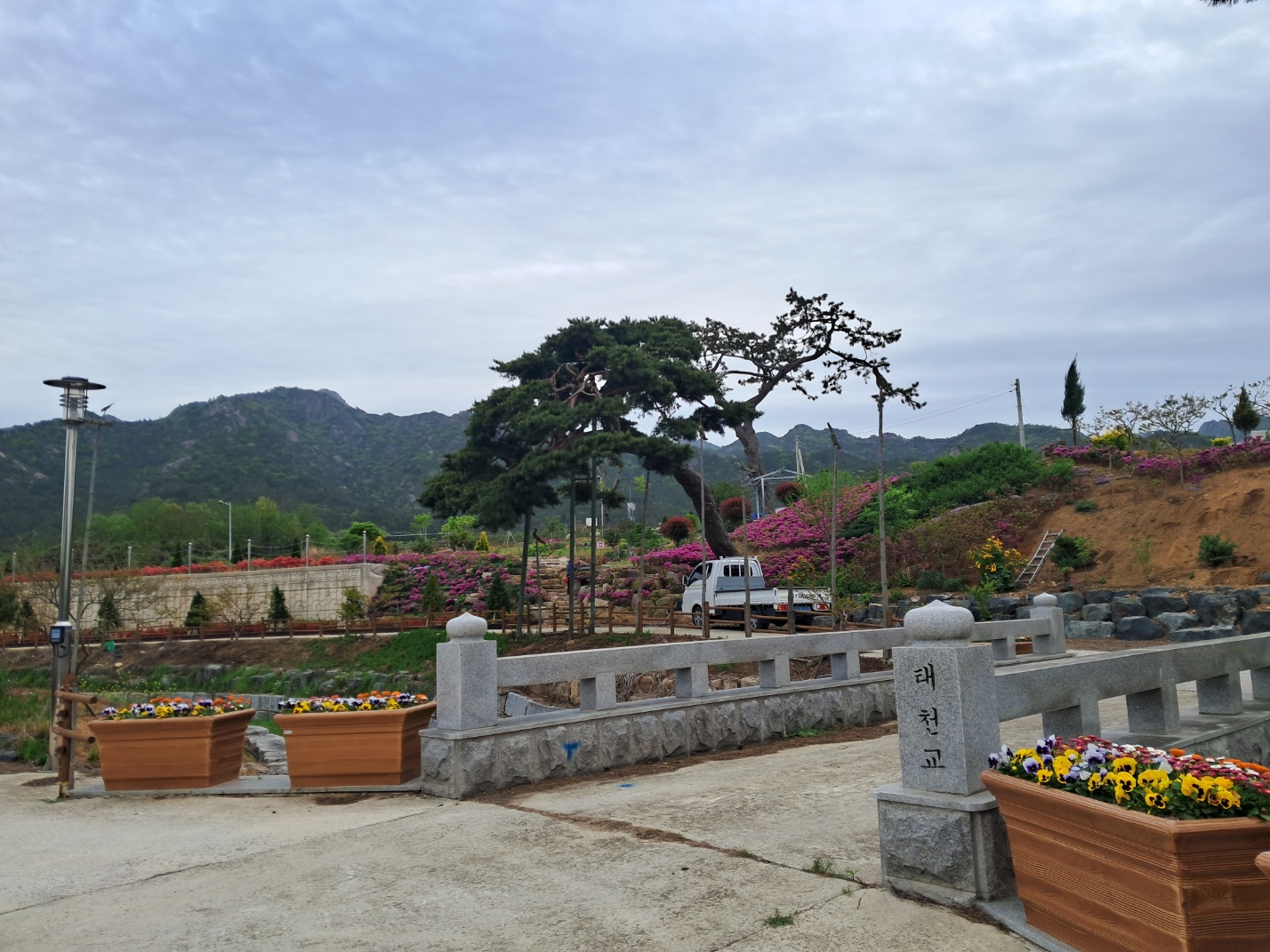 교동2리