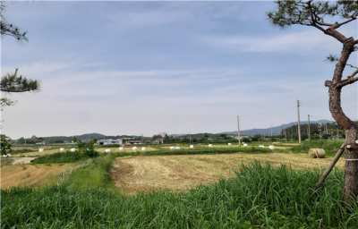 망호2리