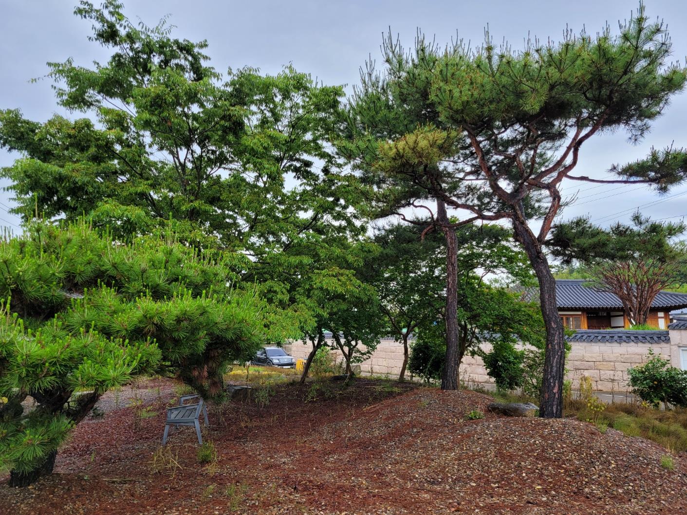 모산2리